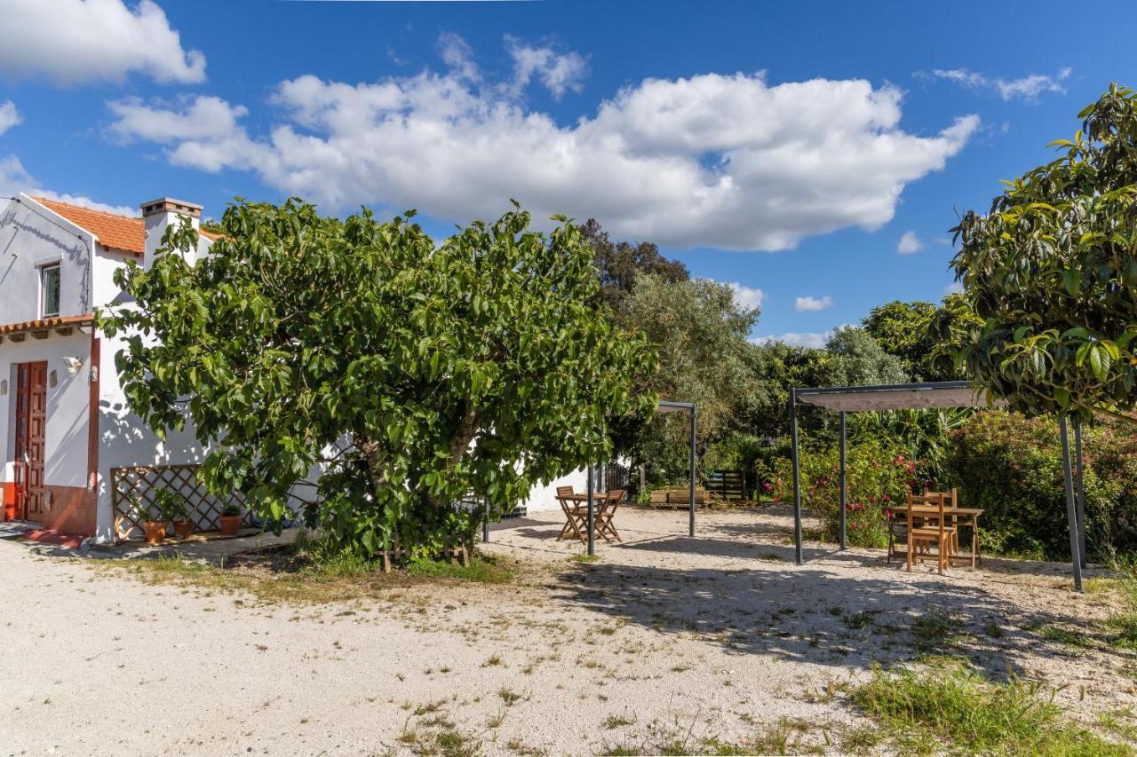 Avo Rosa Guesthouse São João da Ribeira Exteriér fotografie